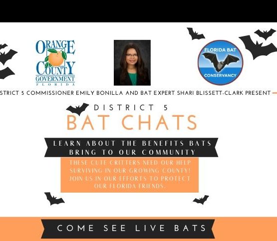 picture with information on bat chats. Information can be found in the webpage