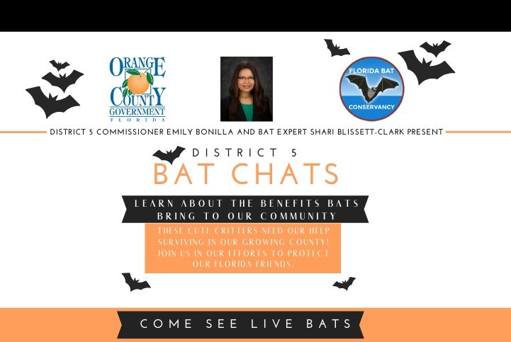 picture with information on bat chats. Information can be found in the webpage
