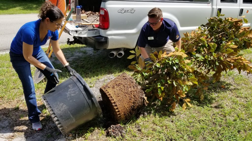 Community Work – Planting Trees at Blanchard Park