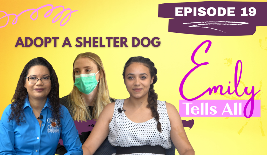 s1e19-adopt-a-shelter-dog-emily-bonilla