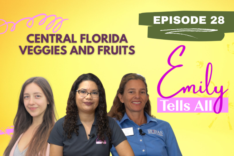 Featured image of guests and host of Emily Tells All Florida Fruits and Veggies episode.