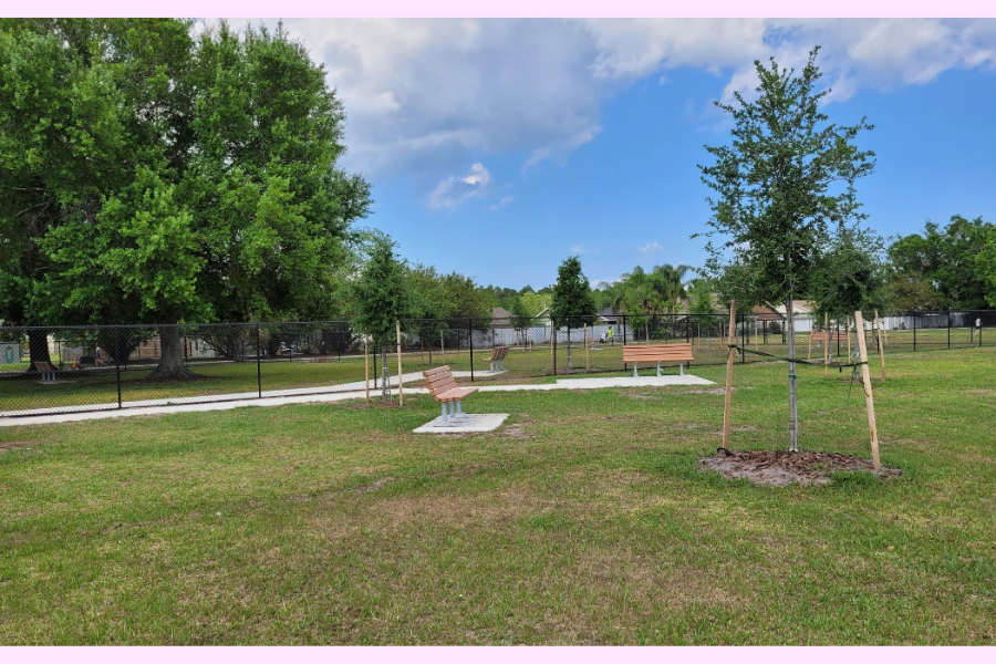 This is the Wedgefield Dog Park; it has bright green grass and two park benches facing a small tree.