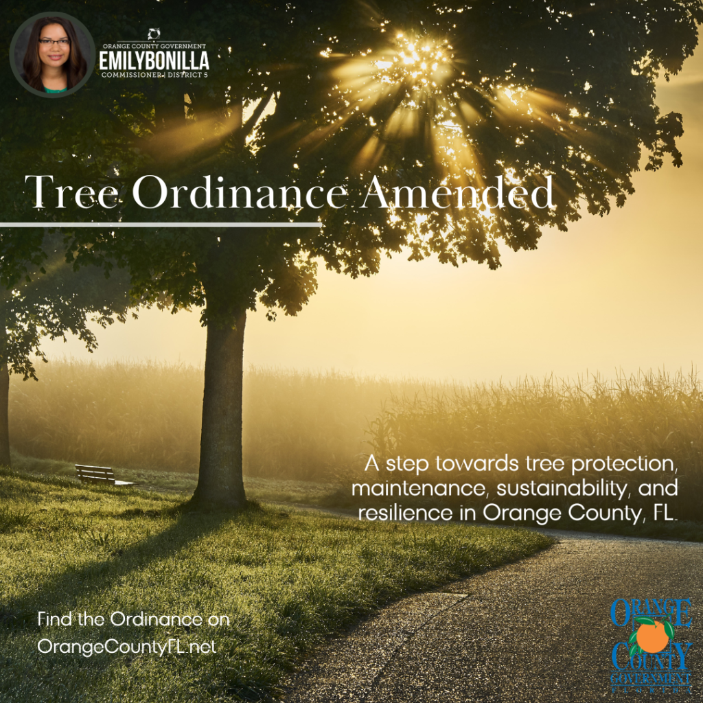 Tree in autumn landscape. Text reads: Tree Ordinance Amended. A step towards tree protection, maintenance, sustainability, and resilience in Orange County, FL. Find the Ordinance on OrangeCountyFL.net.