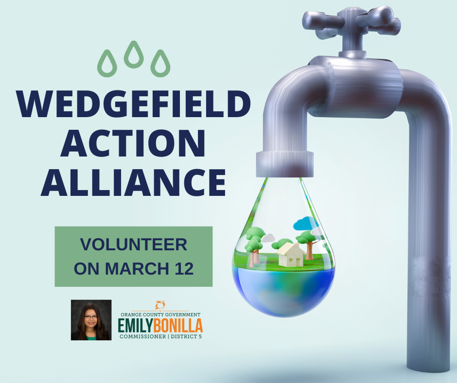 Wedgefield Action Alliance Volunteers Needed flyer for March 12