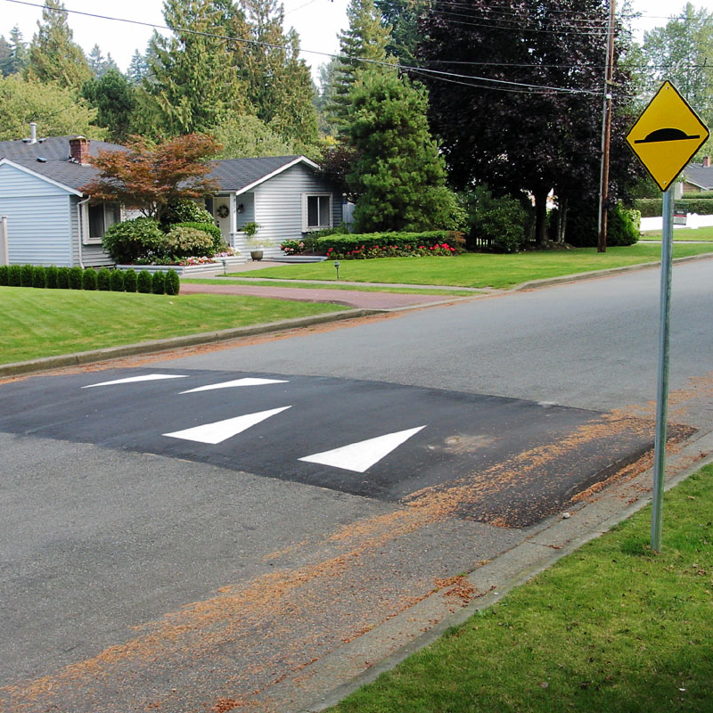 photograph of a road with a speed hump